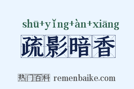 疏影暗香是什么意思的图片